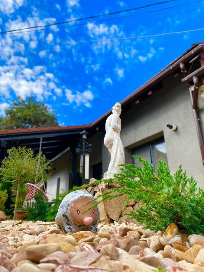 The Residence Of Silver Sky House تيميشورا المظهر الخارجي الصورة