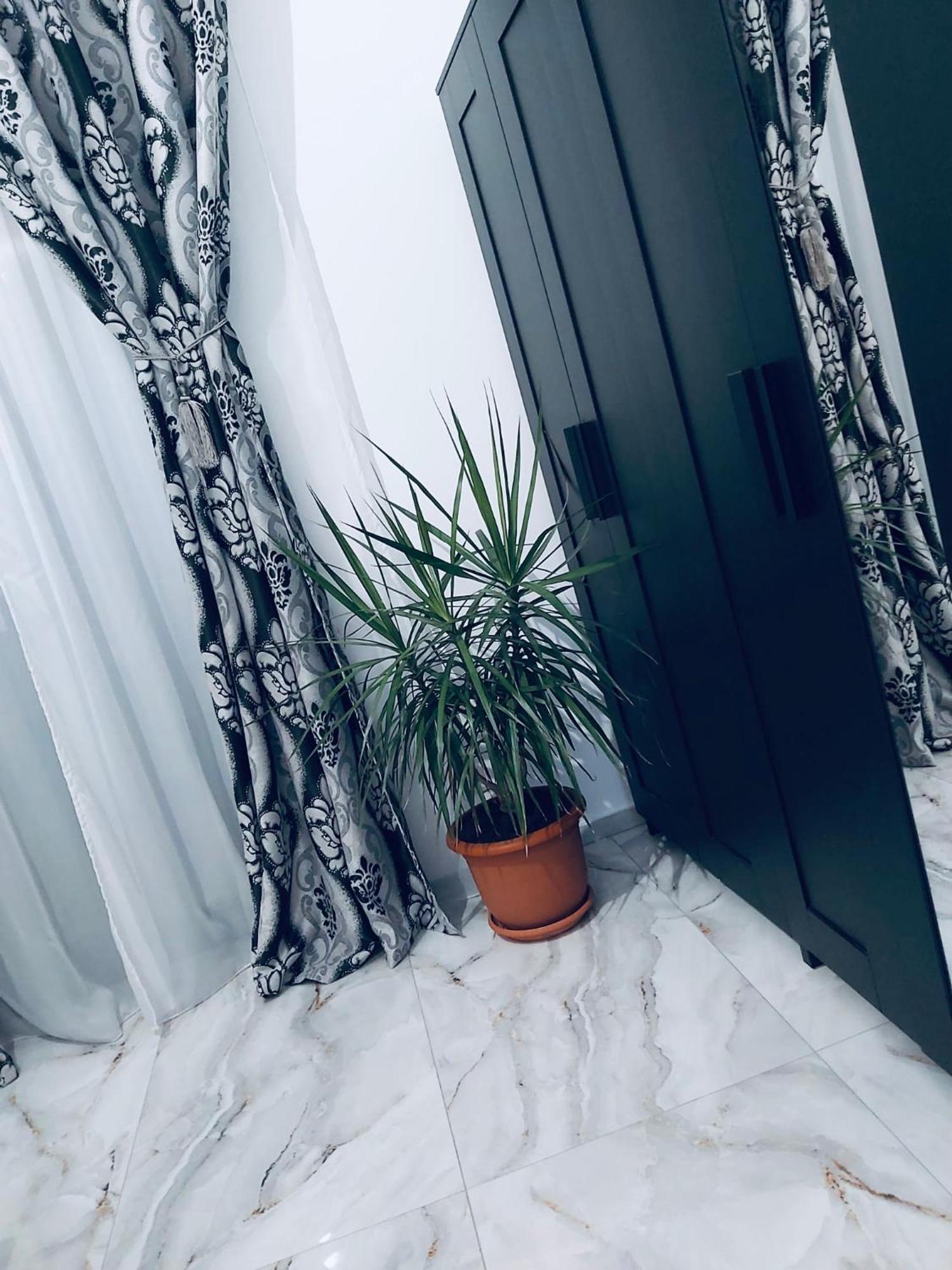 The Residence Of Silver Sky House تيميشورا المظهر الخارجي الصورة